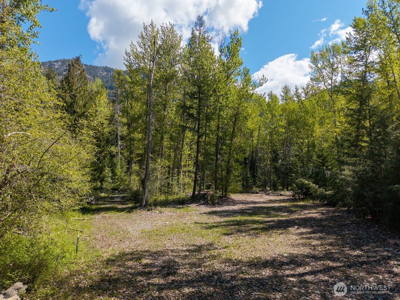 98 Cassel Way Property Photo 30