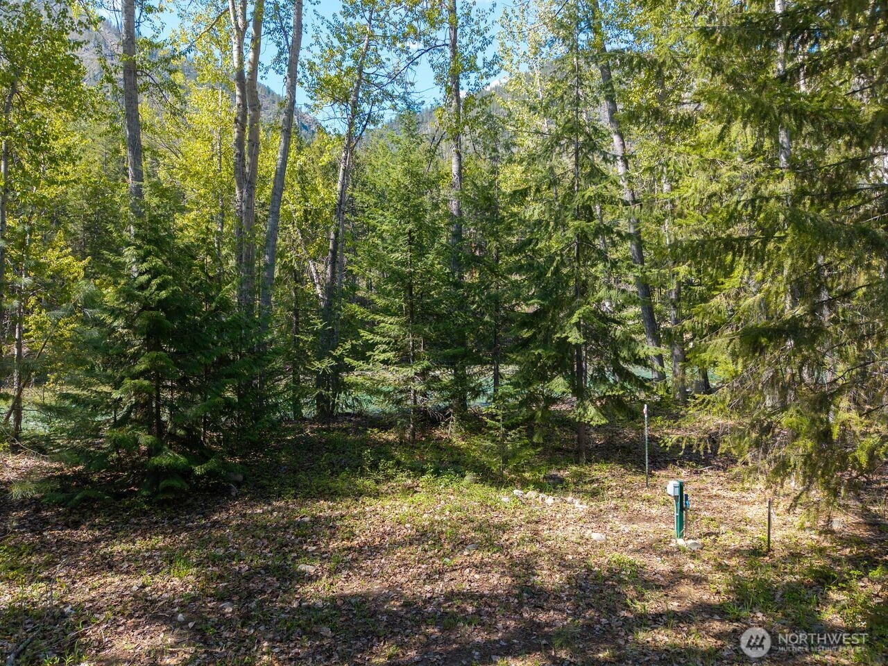98 Cassel Way Property Photo 31