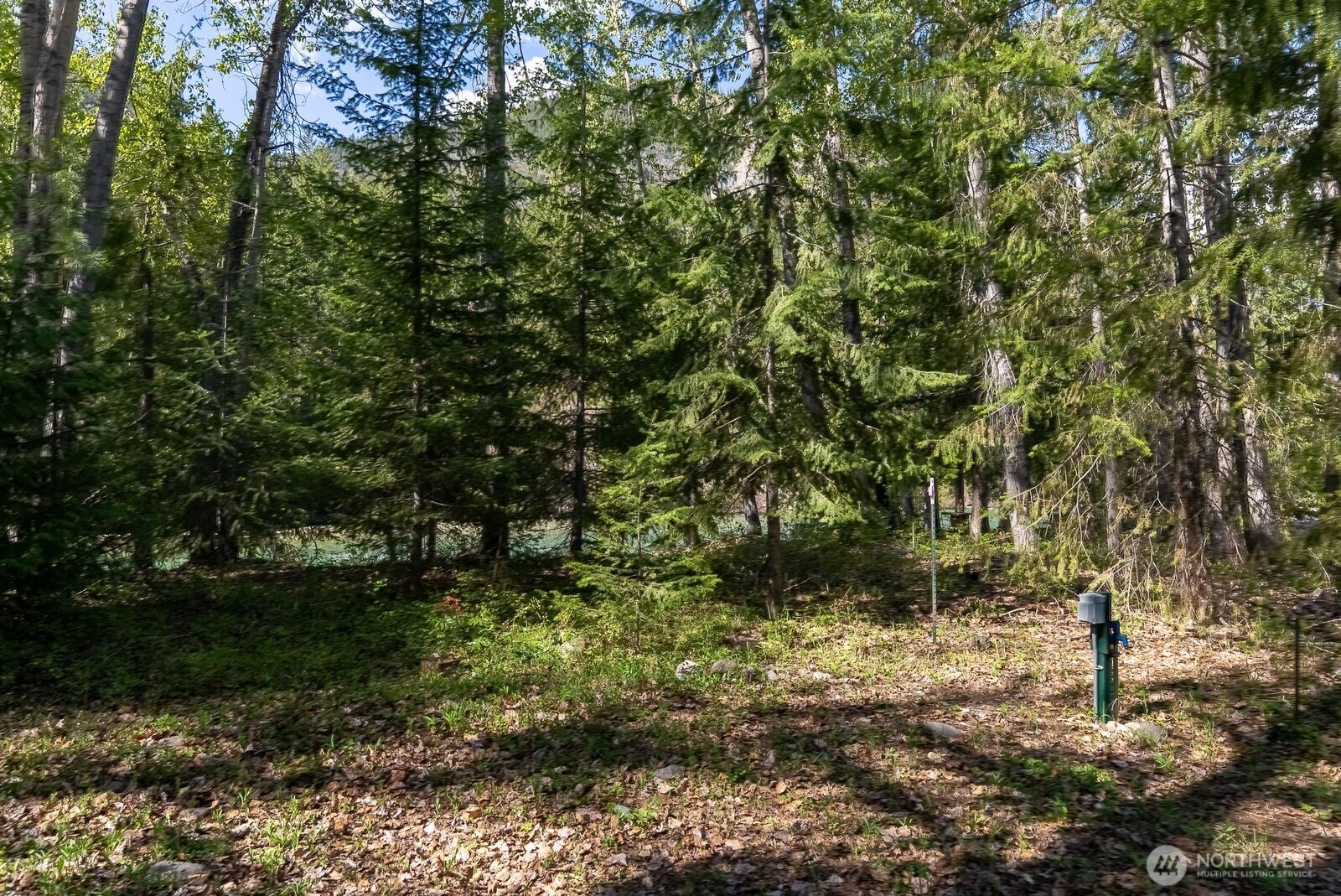 98 Cassel Way Property Photo 35