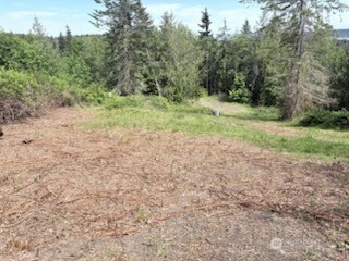 495 Louella Road Property Photo 5