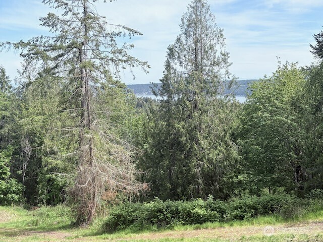 495 Louella Road Property Photo 6