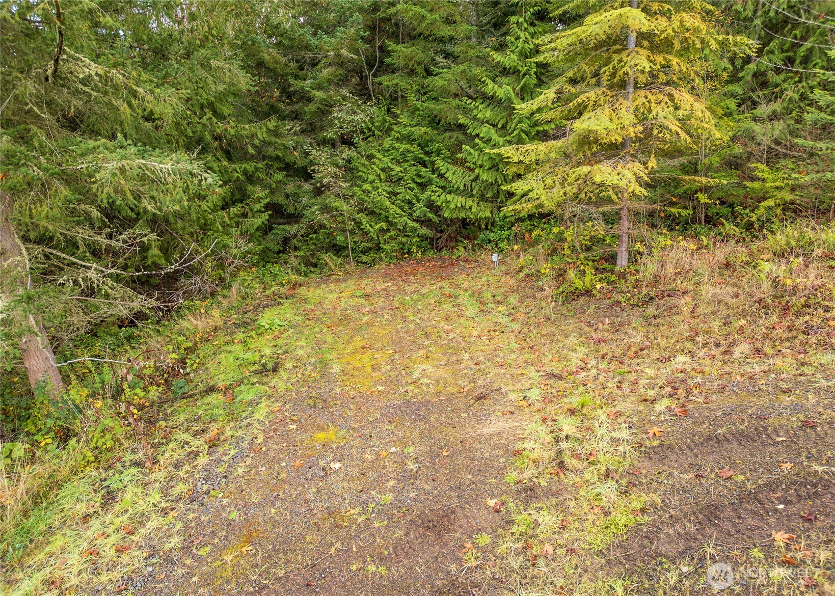 495 Louella Road Property Photo 9