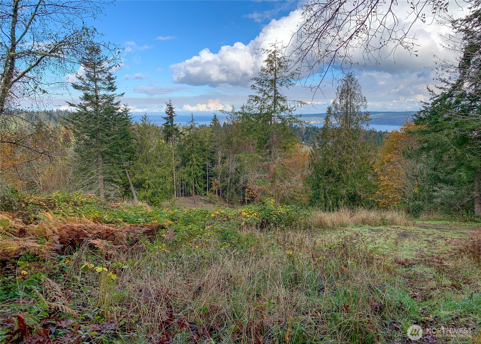 495 Louella Road Property Photo 15