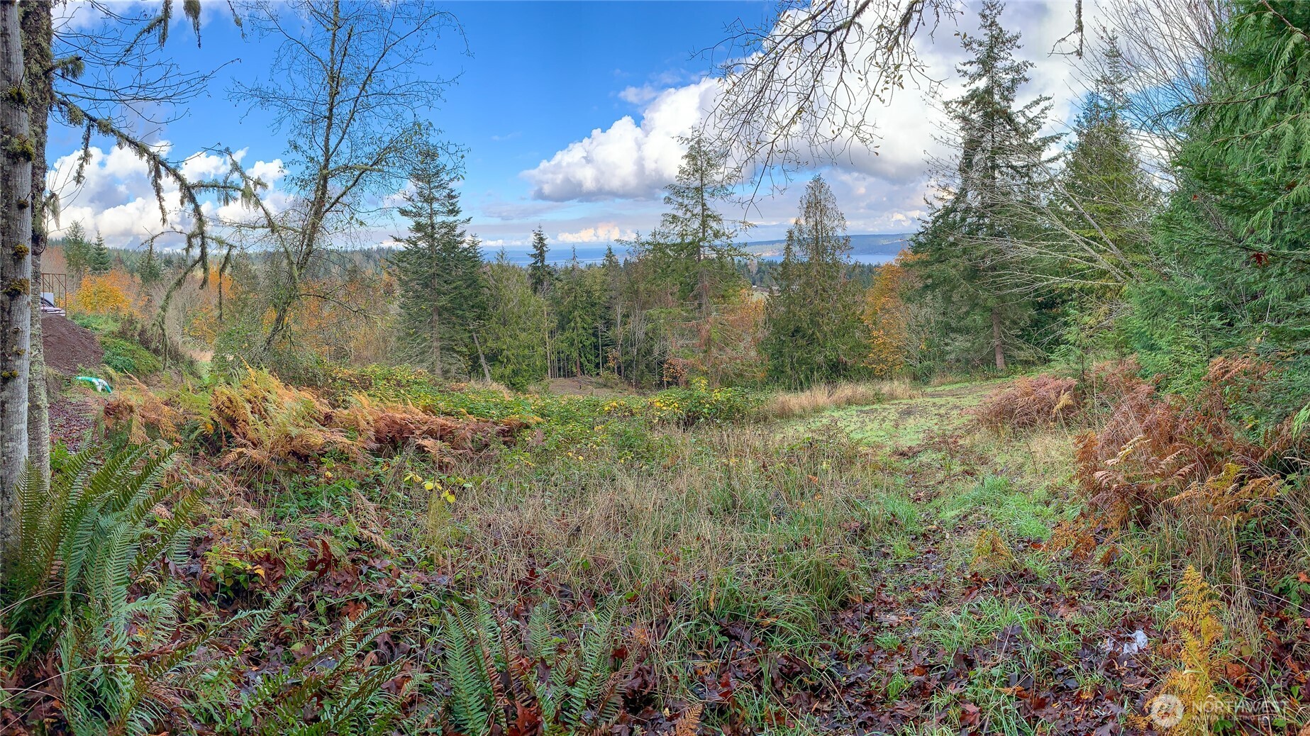 495 Louella Road Property Photo 16