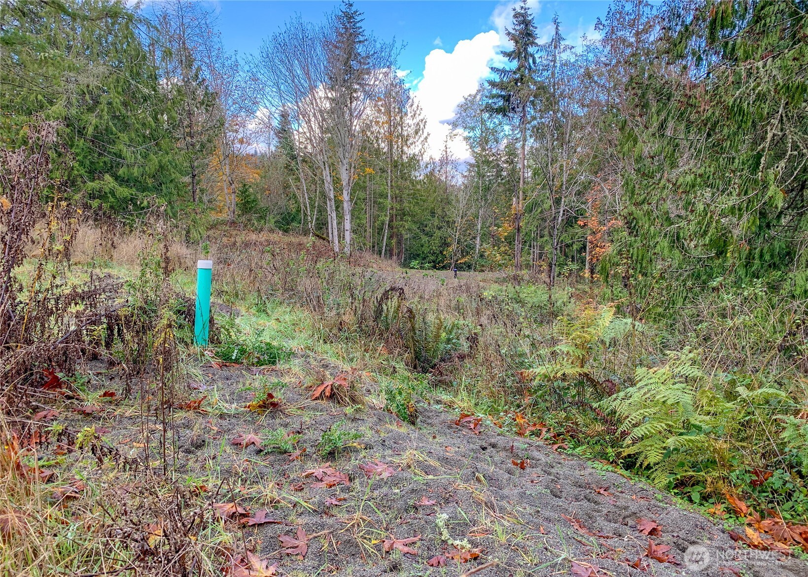 495 Louella Road Property Photo 21