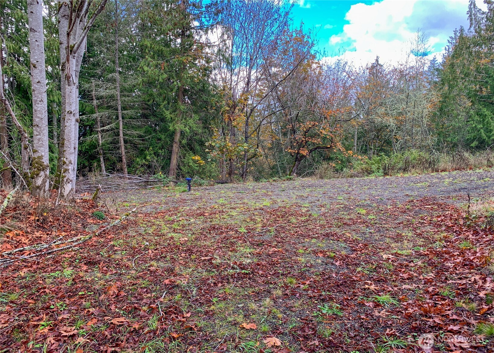 495 Louella Road Property Photo 25