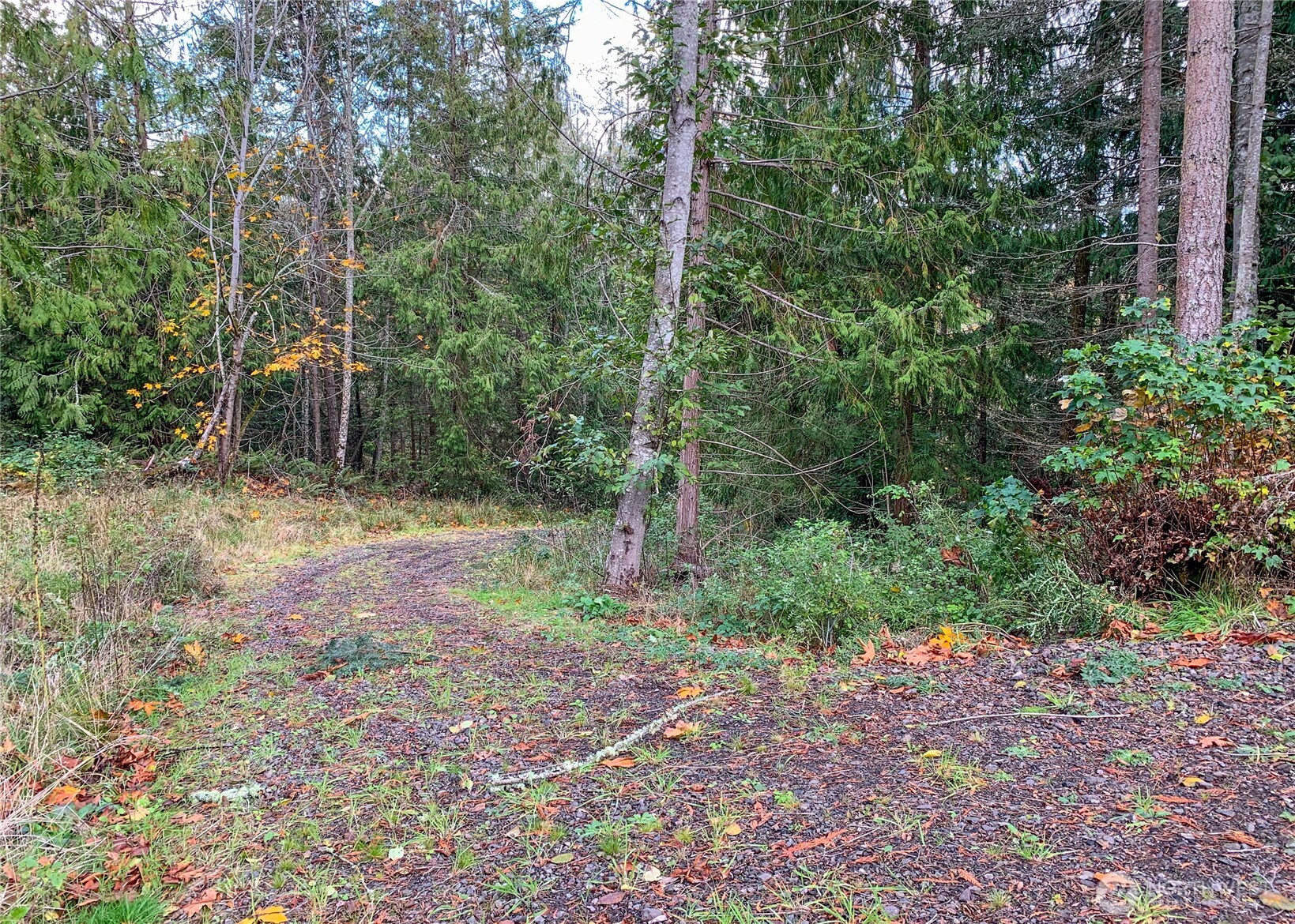 495 Louella Road Property Photo 26