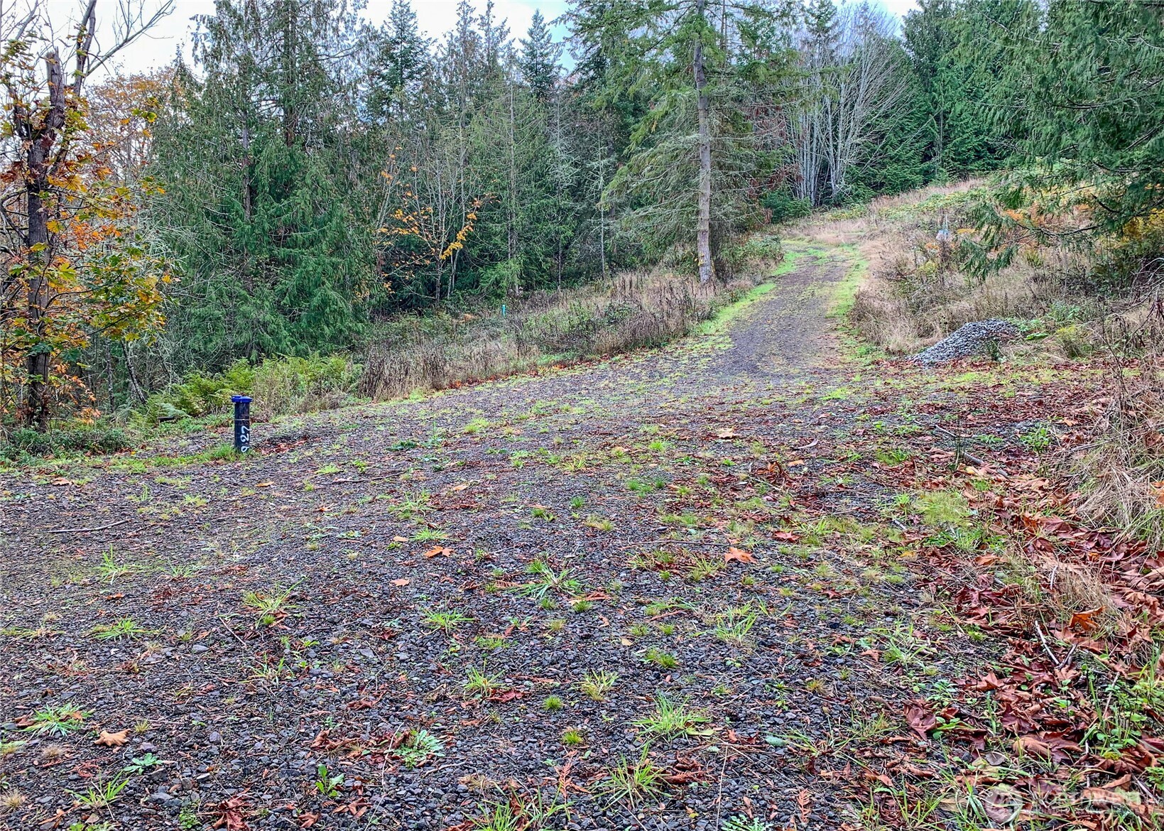 495 Louella Road Property Photo 27