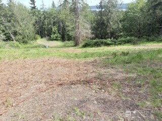 495 Louella Road Property Photo 35