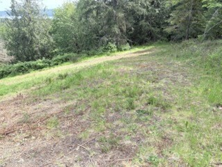 495 Louella Road Property Photo 37