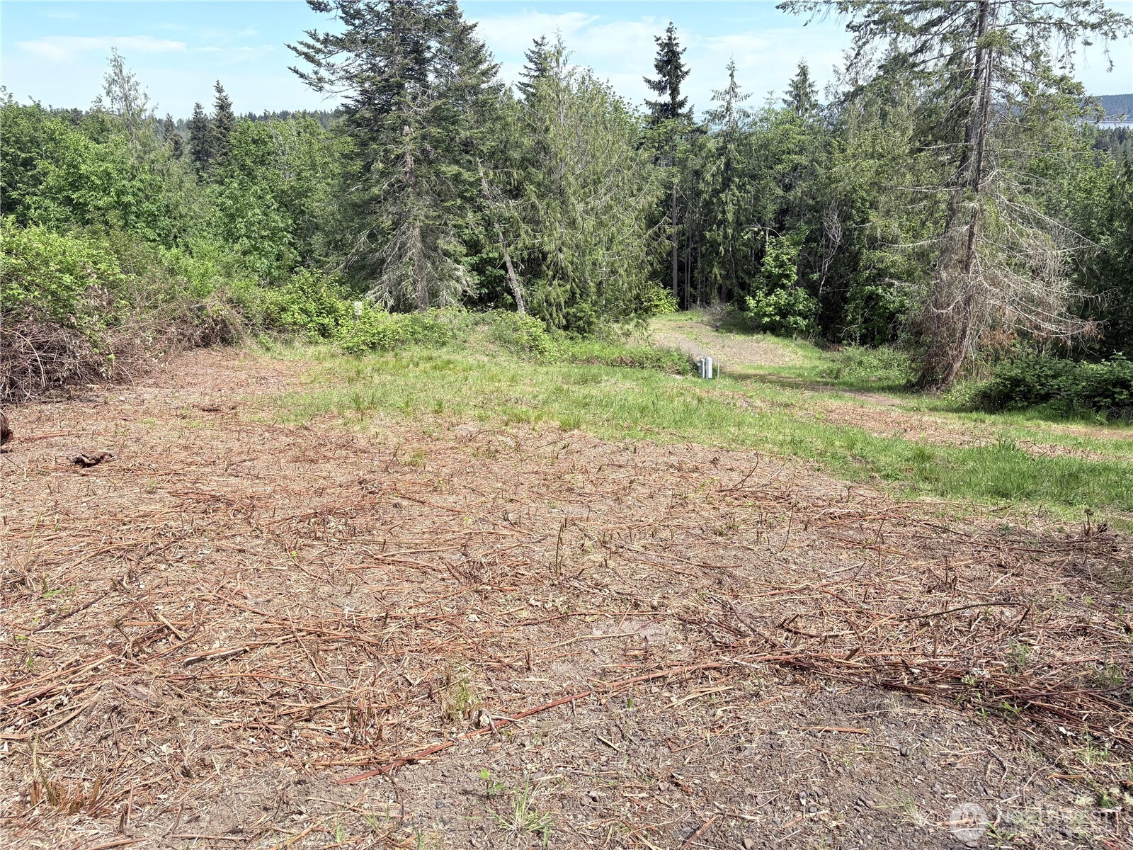 495 Louella Road Property Photo 38