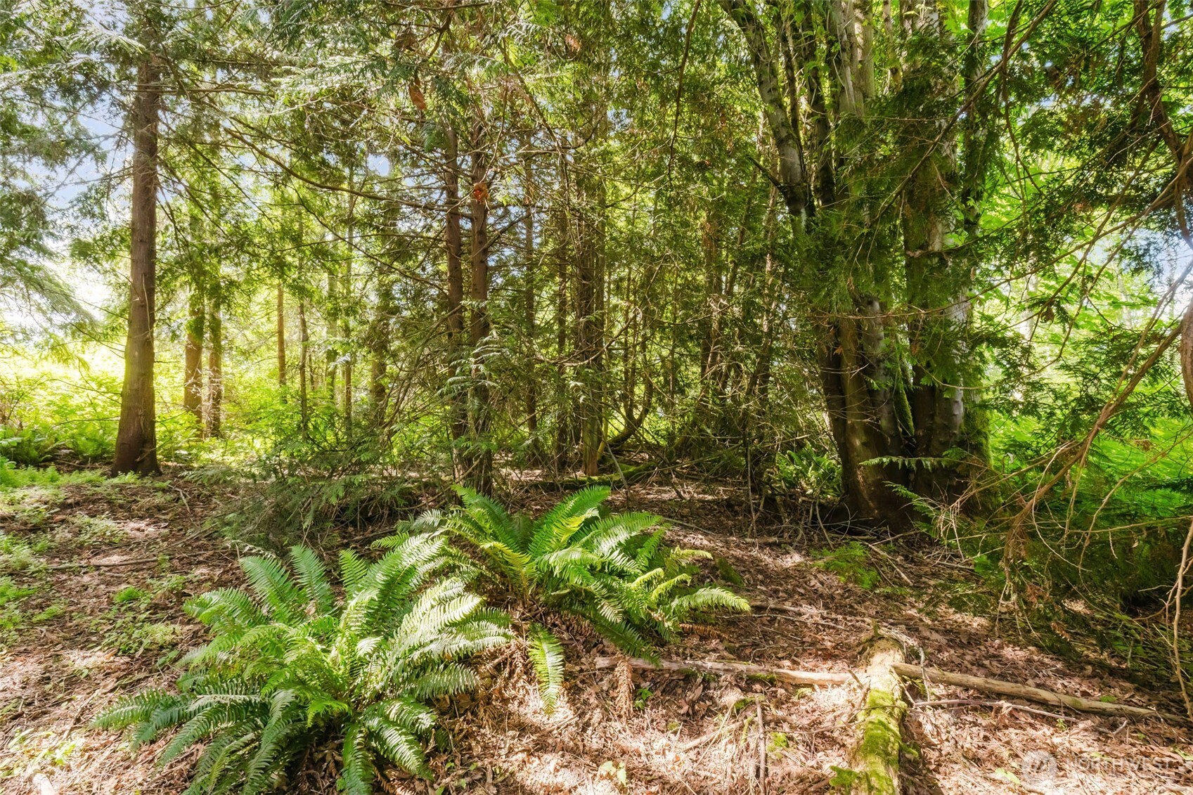 38742 Tinker Place Property Photo 5