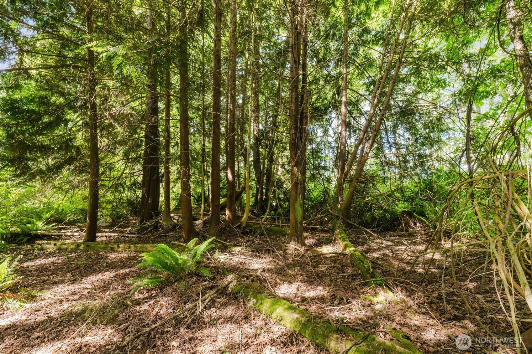 38742 Tinker Place Property Photo 6