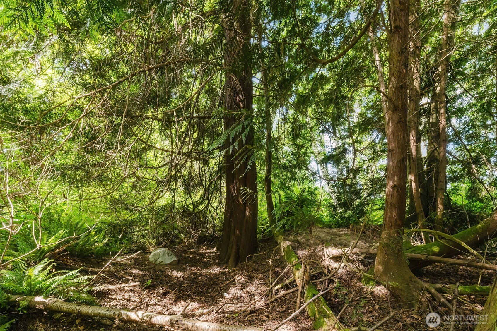38742 Tinker Place Property Photo 7