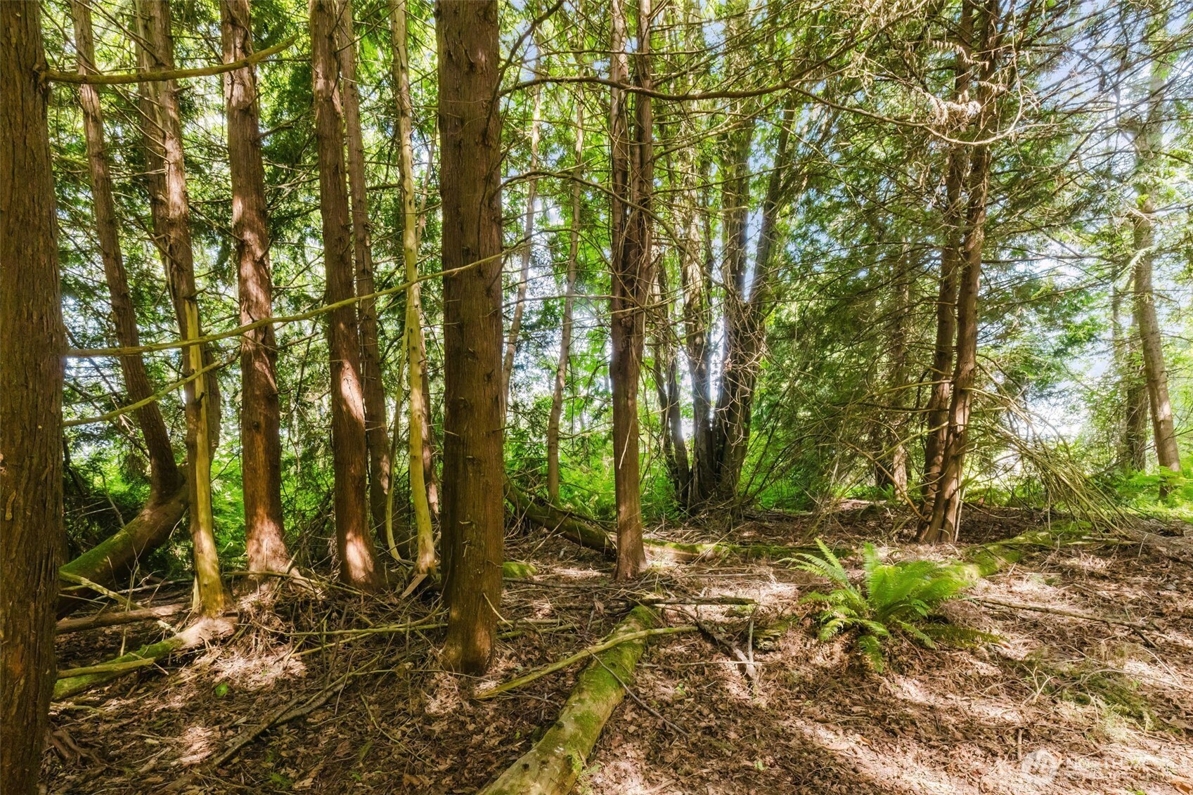 38742 Tinker Place Property Photo 8