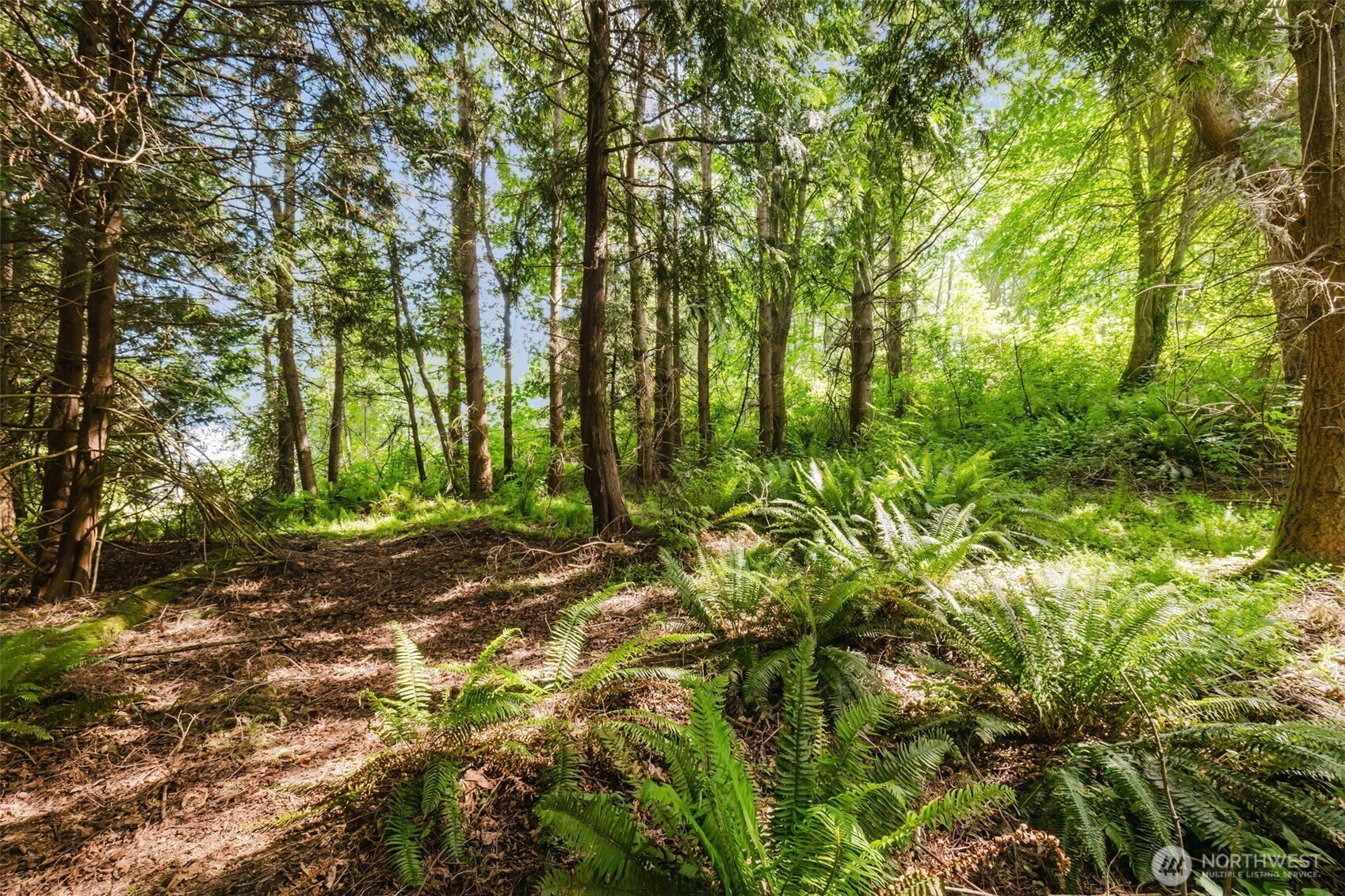 38742 Tinker Place Property Photo 11