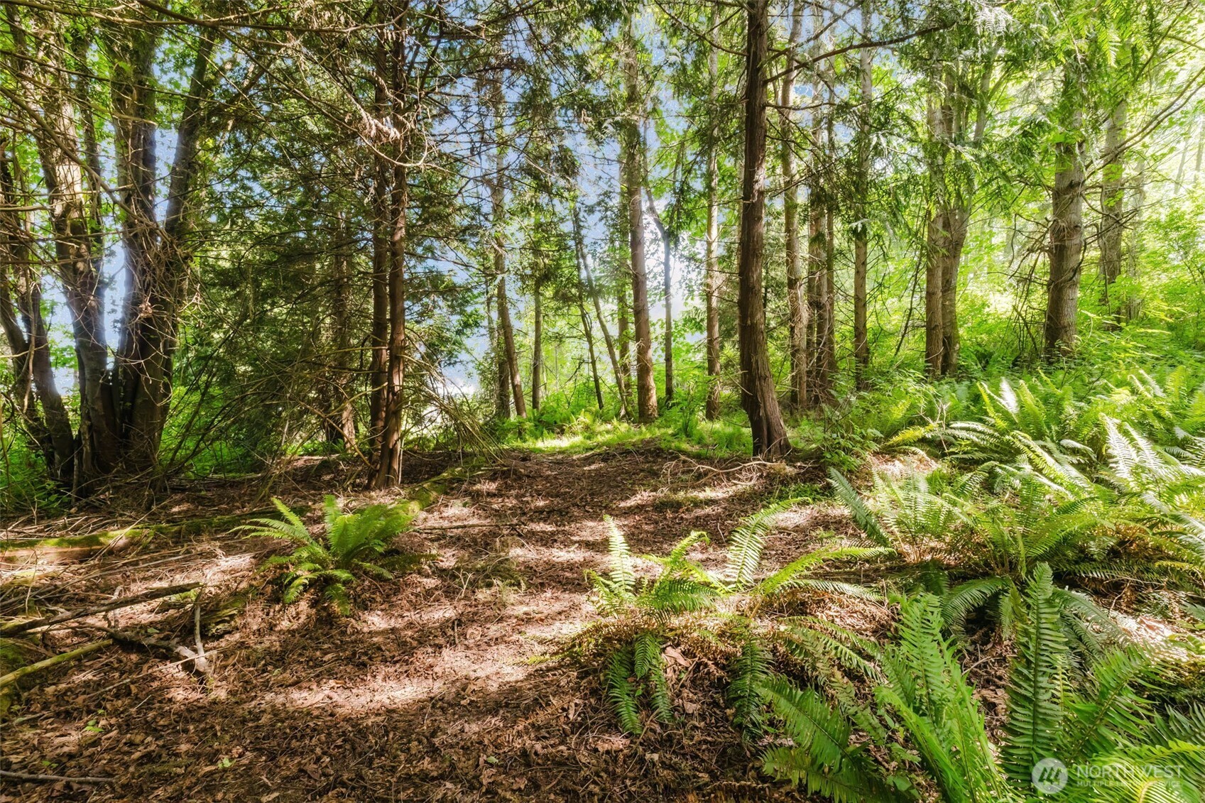 38742 Tinker Place Property Photo 12
