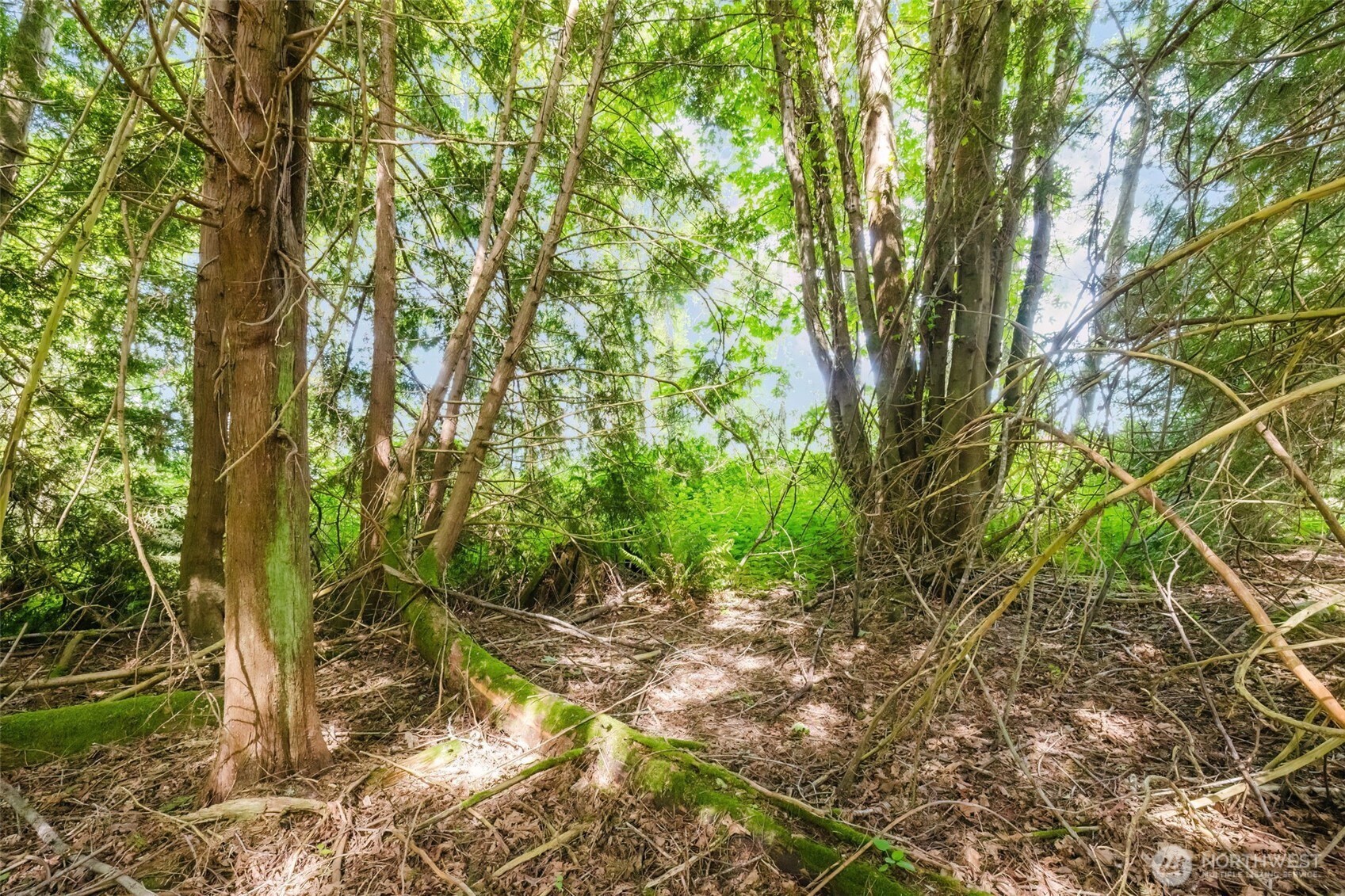 38742 Tinker Place Property Photo 15