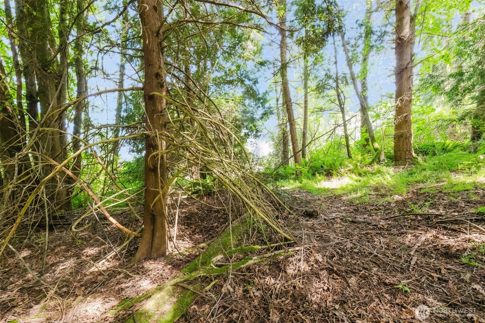 38742 Tinker Place Property Photo 16