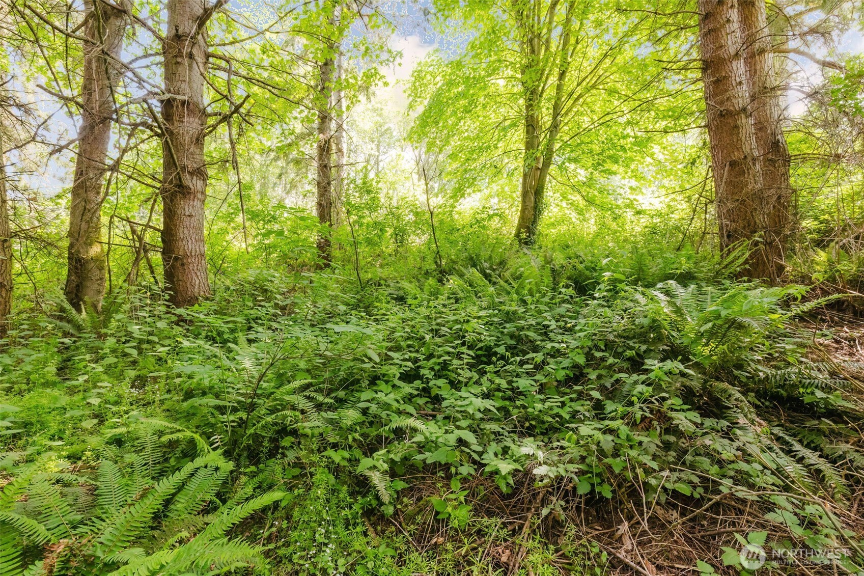 38742 Tinker Place Property Photo 17