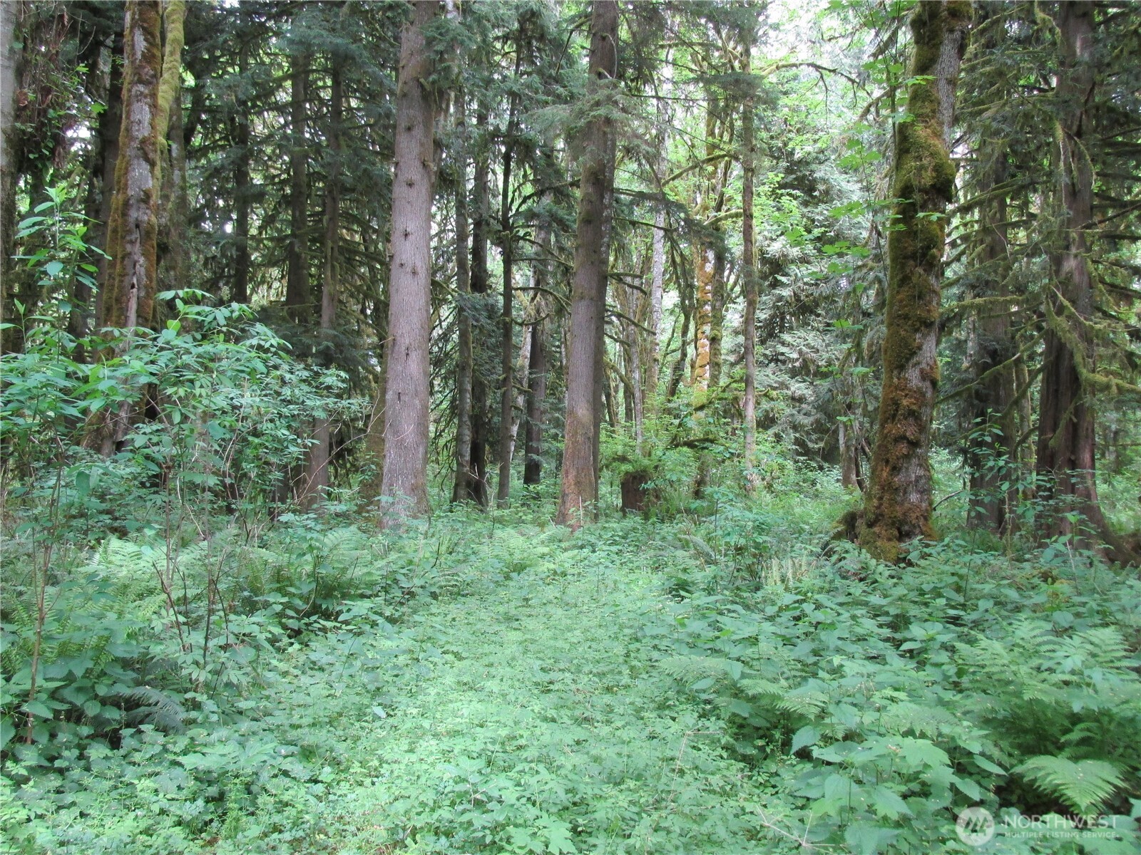 0 Arnold Lane Property Photo 1