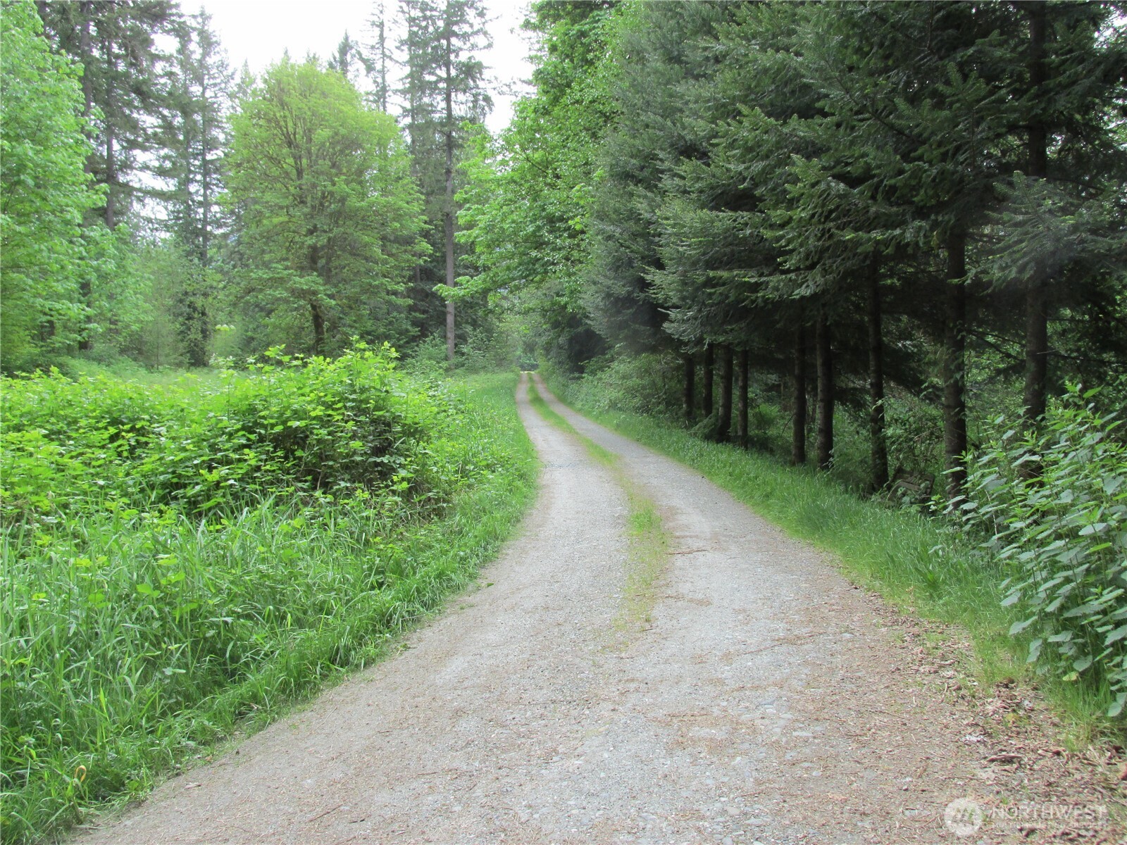 0 Arnold Lane Property Photo 6