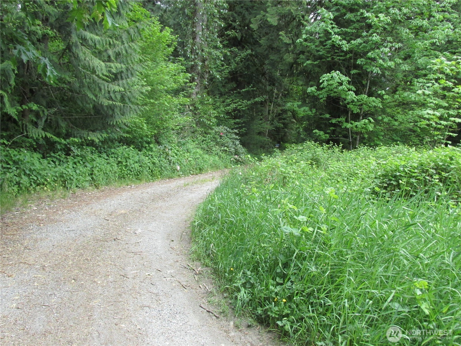 0 Arnold Lane Property Photo 7