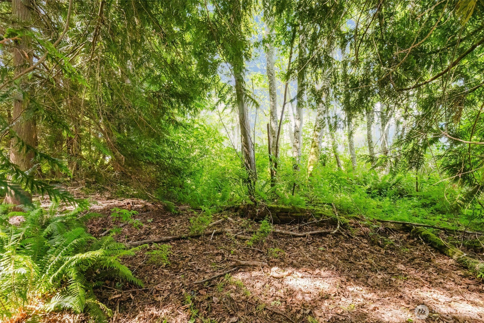 38743 Tinker Place Property Photo 4