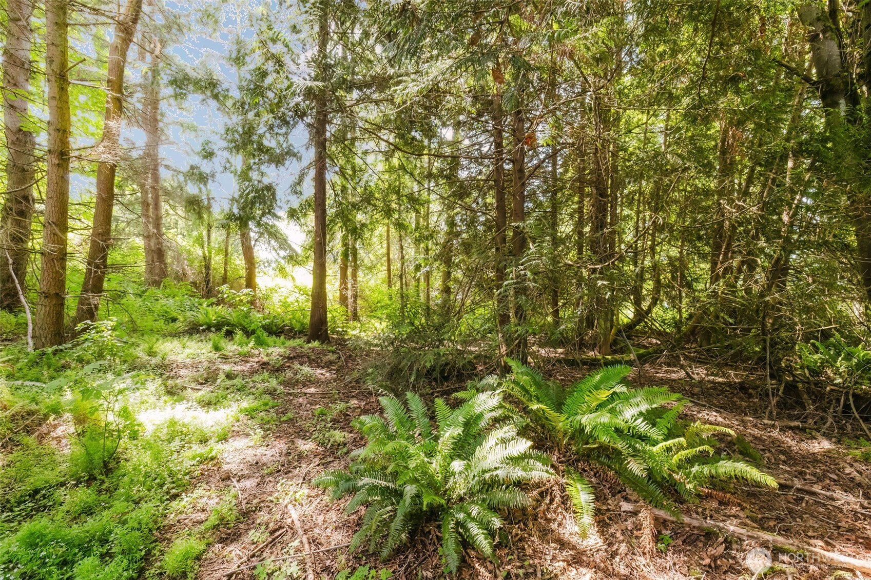 38743 Tinker Place Property Photo 6