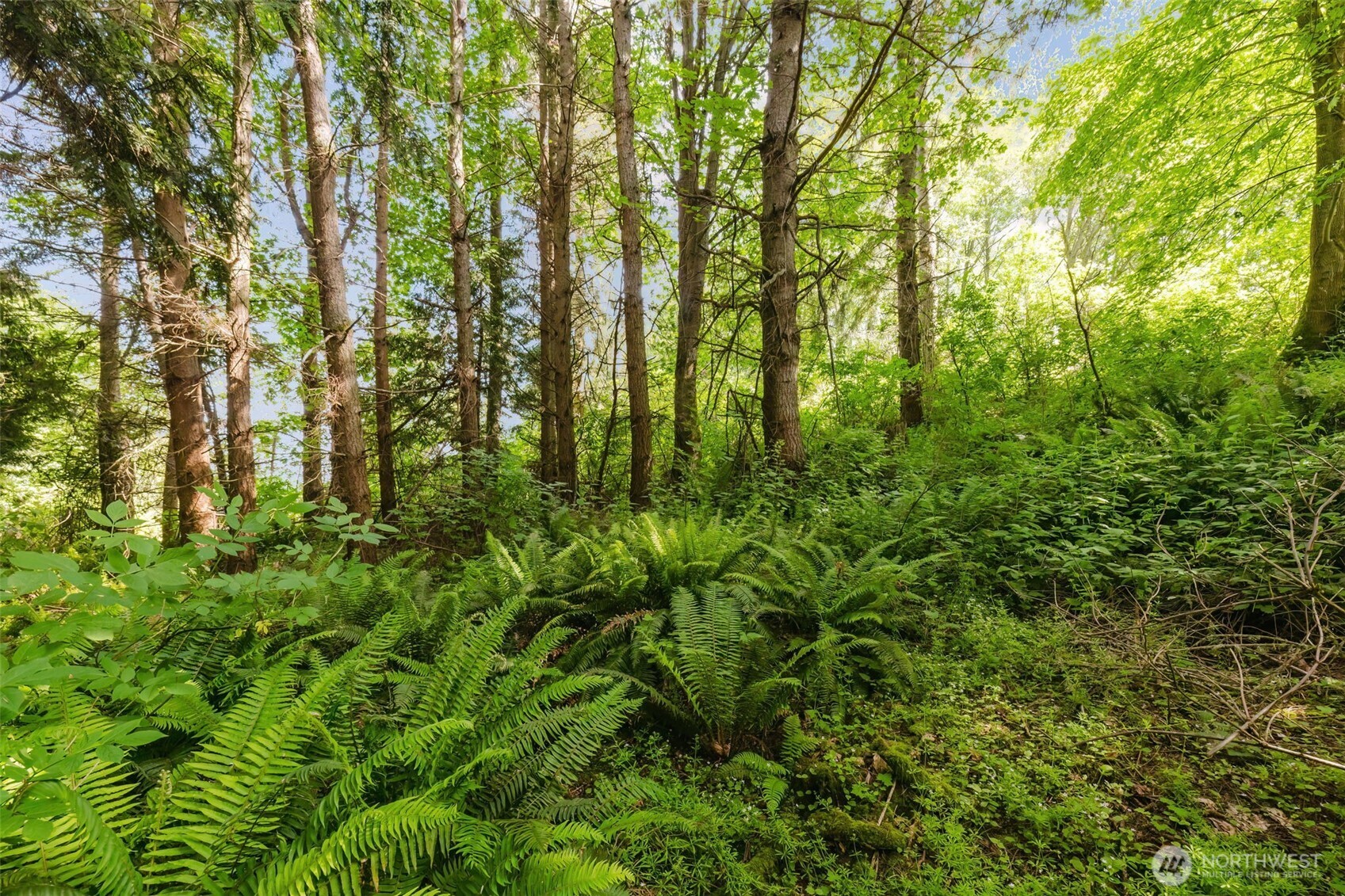 38743 Tinker Place Property Photo 7