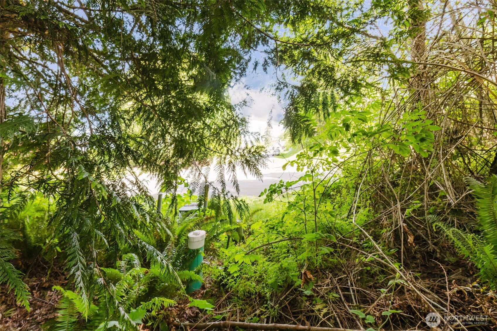38743 Tinker Place Property Photo 9