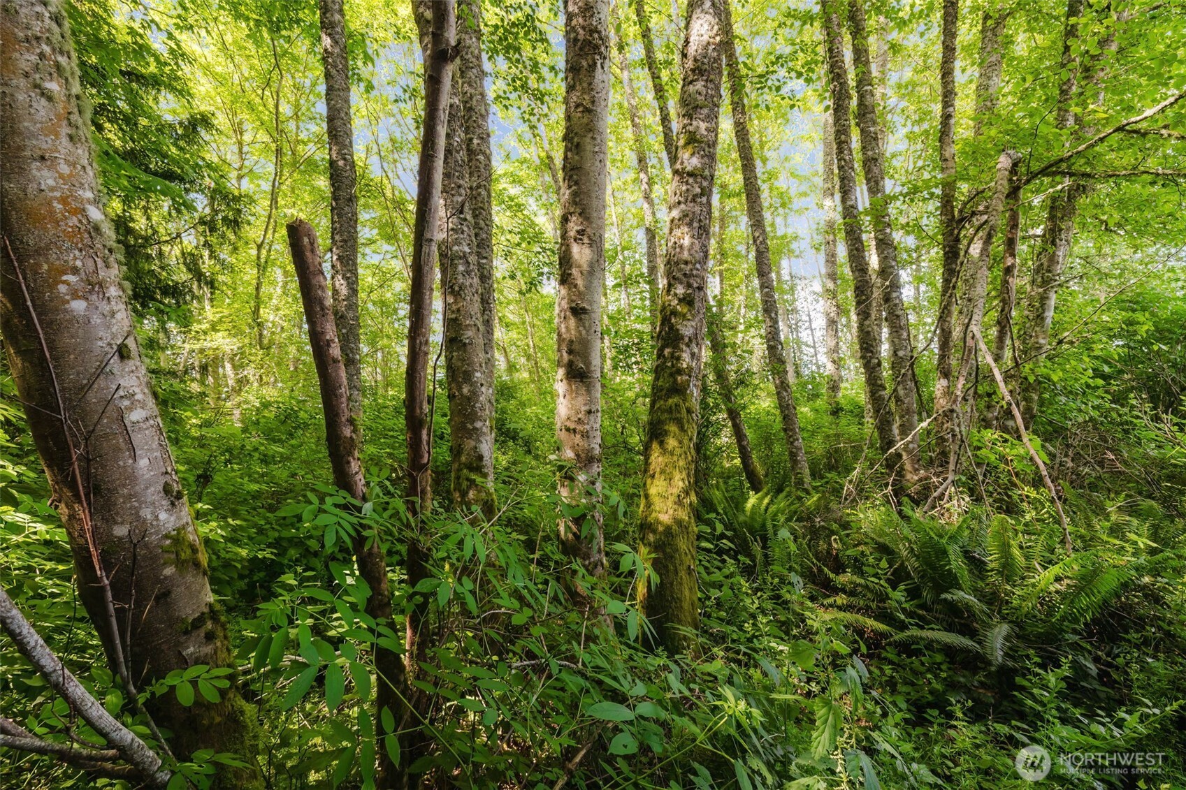 38743 Tinker Place Property Photo 10
