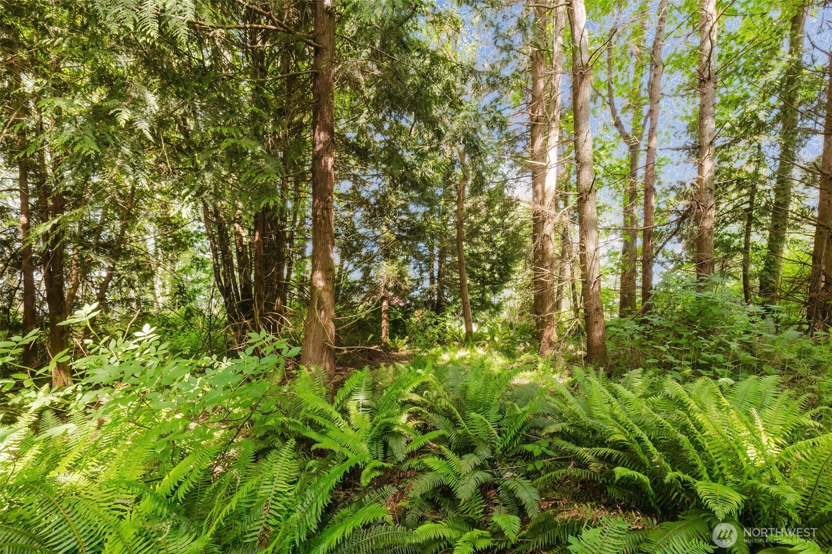38743 Tinker Place Property Photo 11