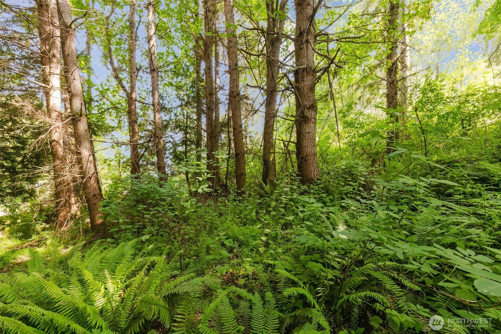 38743 Tinker Place Property Photo 12