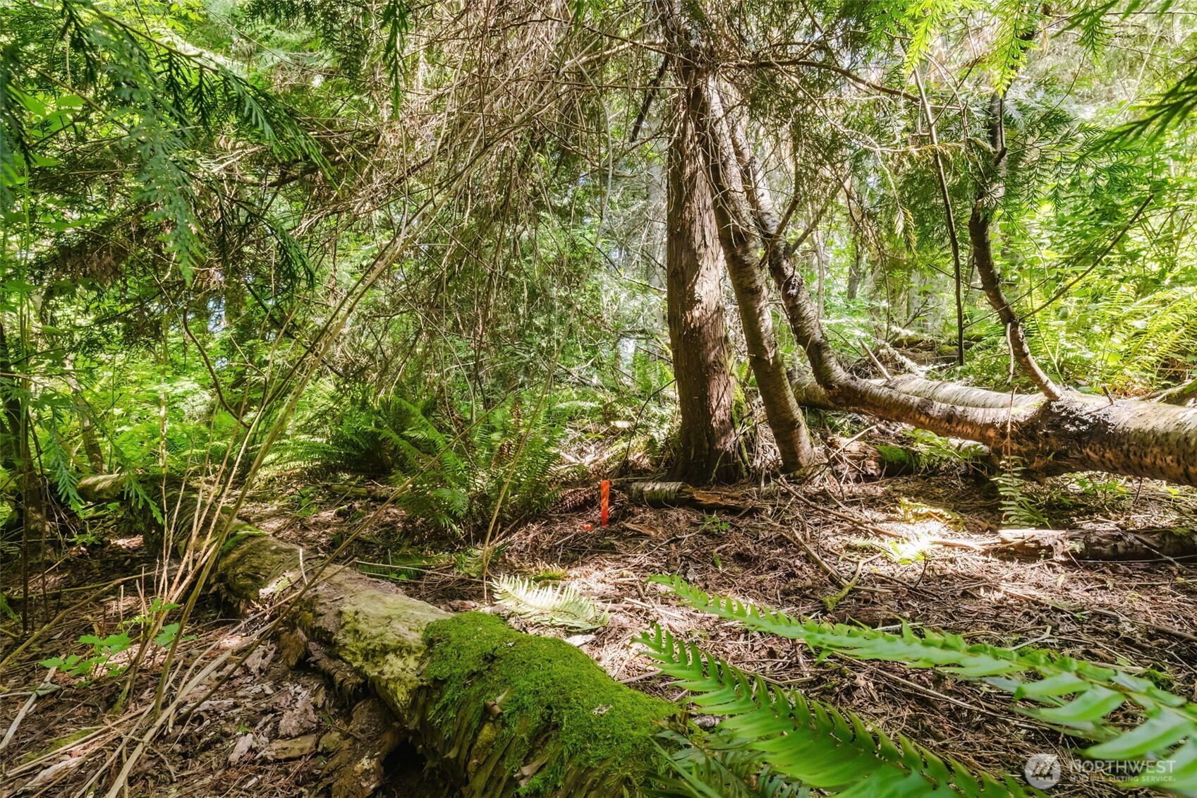 38743 Tinker Place Property Photo 13