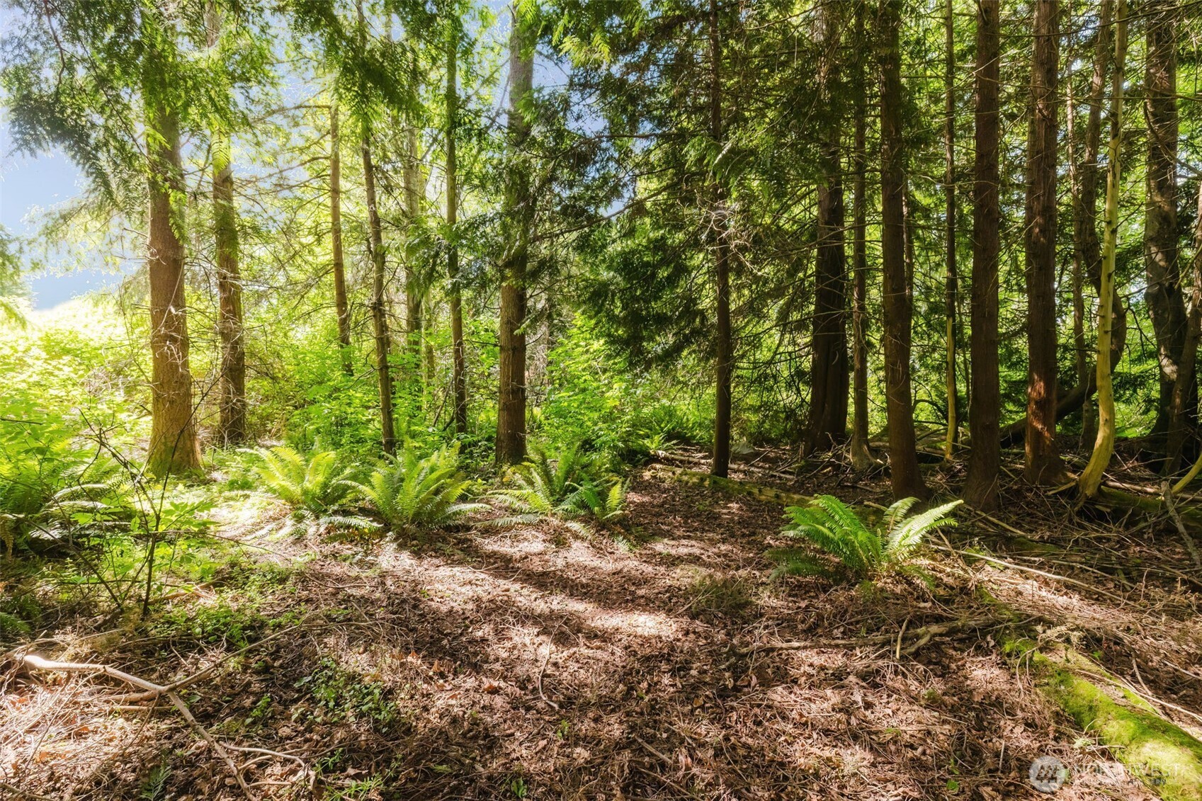38743 Tinker Place Property Photo 14