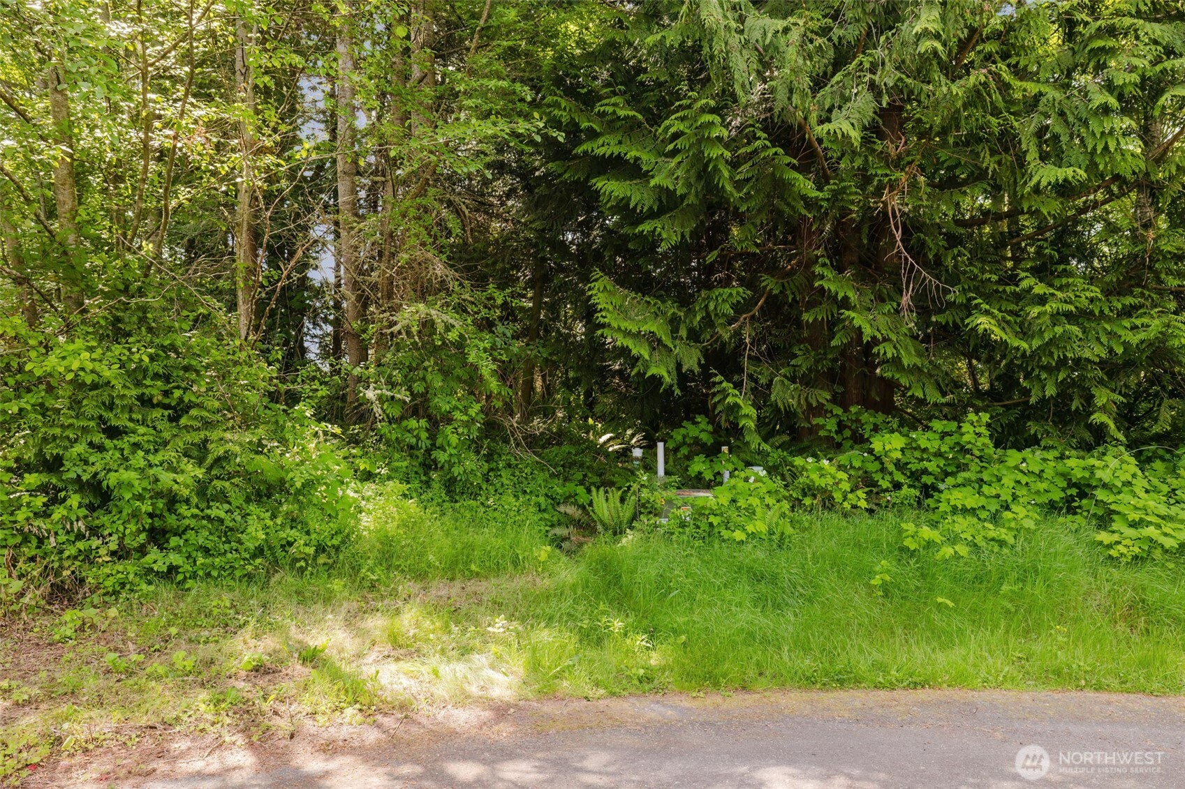 38743 Tinker Place Property Photo 15