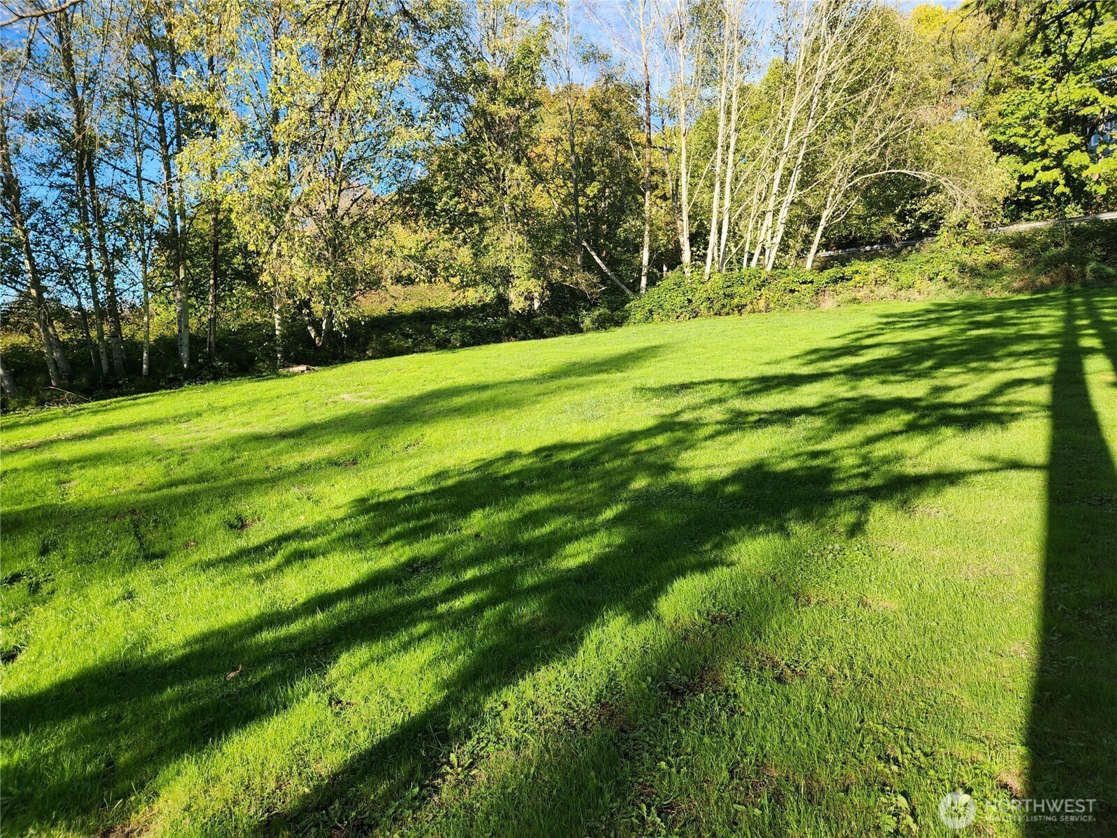 9859 Redmond Woodinville Road Property Photo 4