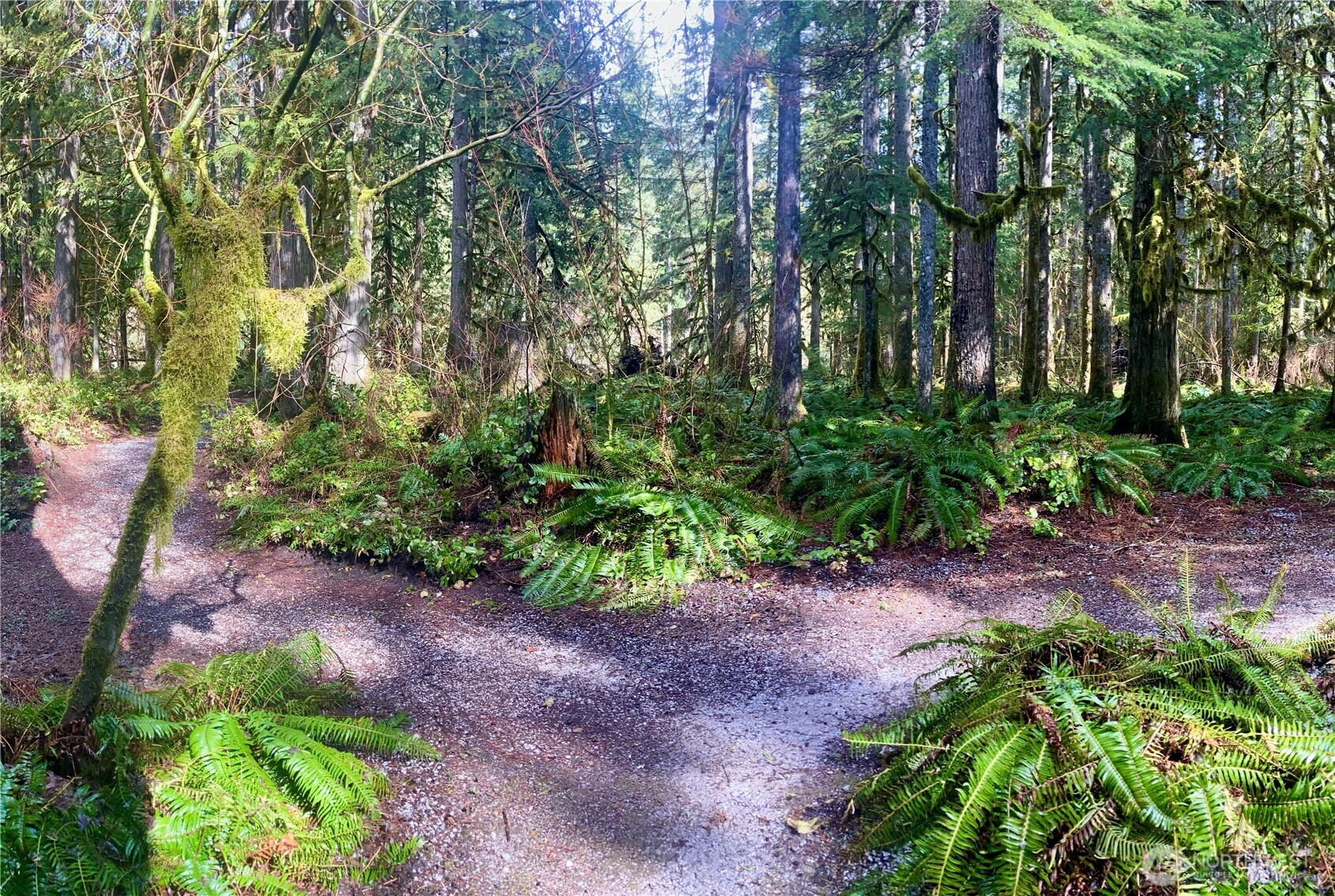 10500 Mount Baker Highway 307 Property Photo 21