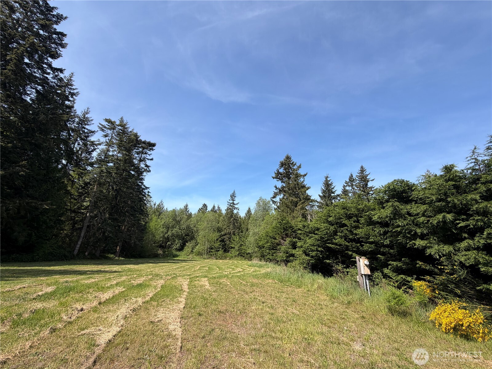 11235 Rhody Drive Property Photo 3