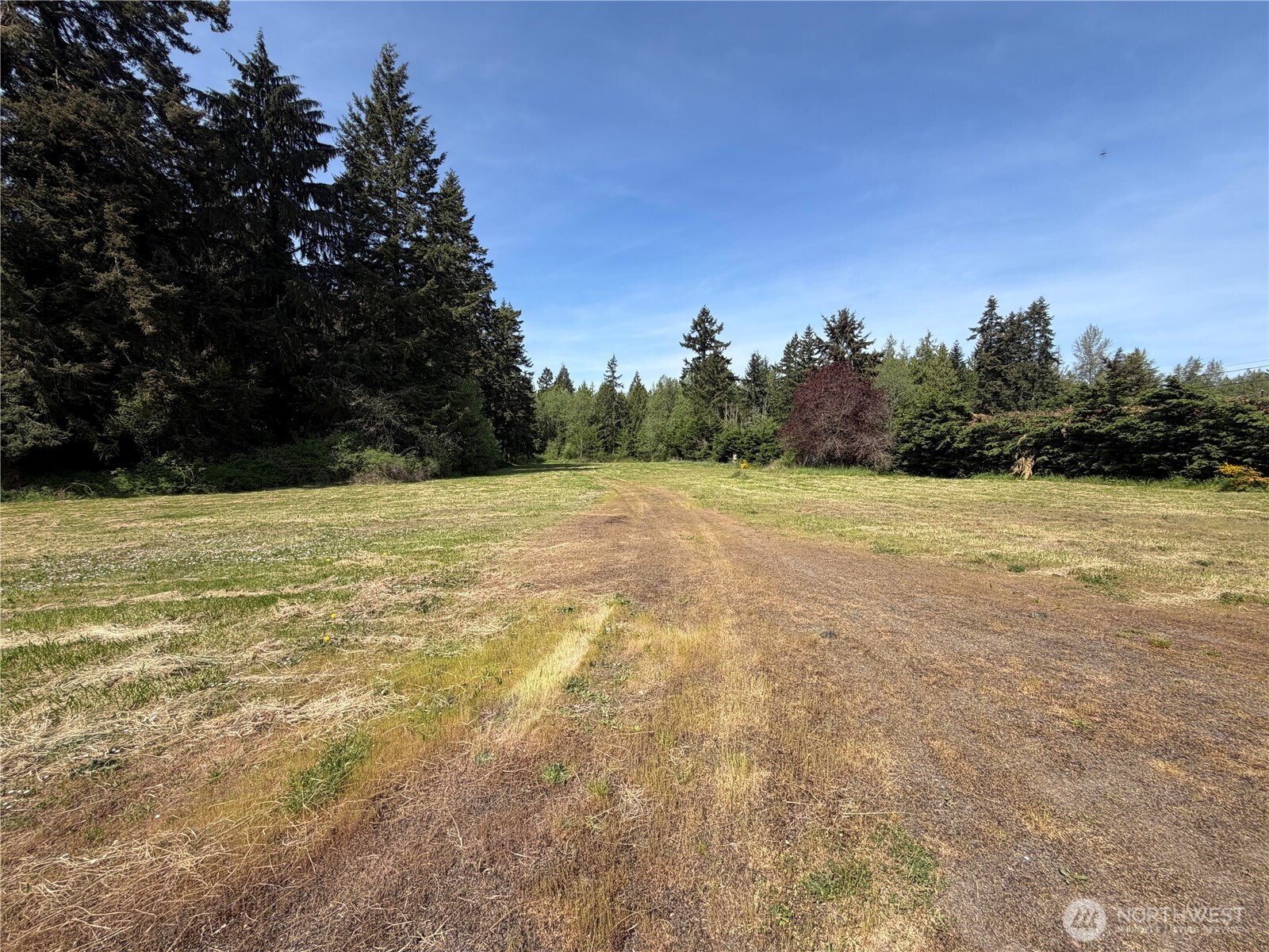 11235 Rhody Drive Property Photo 4