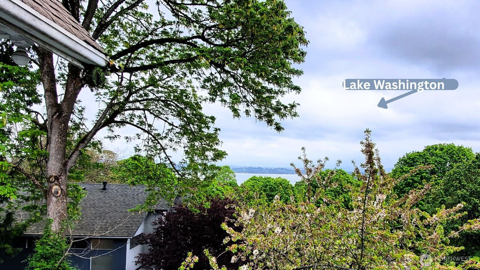 3004 E Yesler Way Property Photo 4