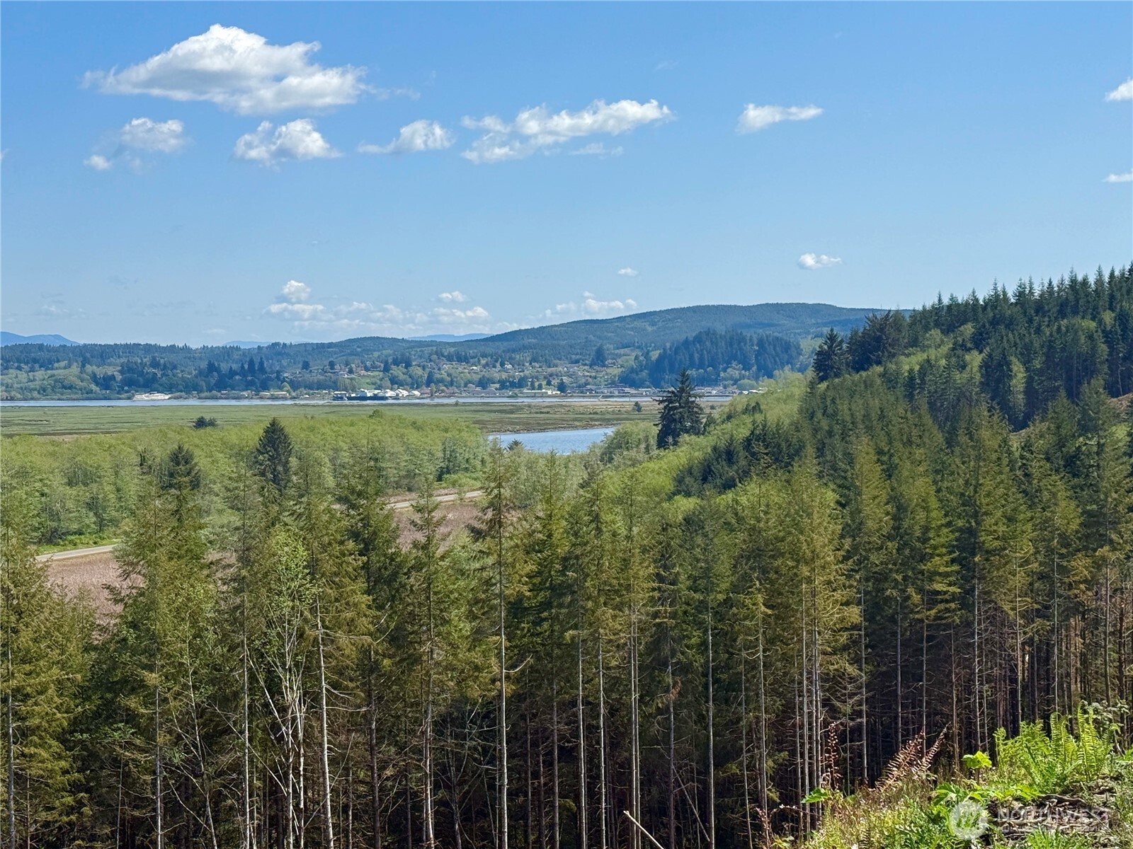 8464 Us Highway 101 Property Photo 5
