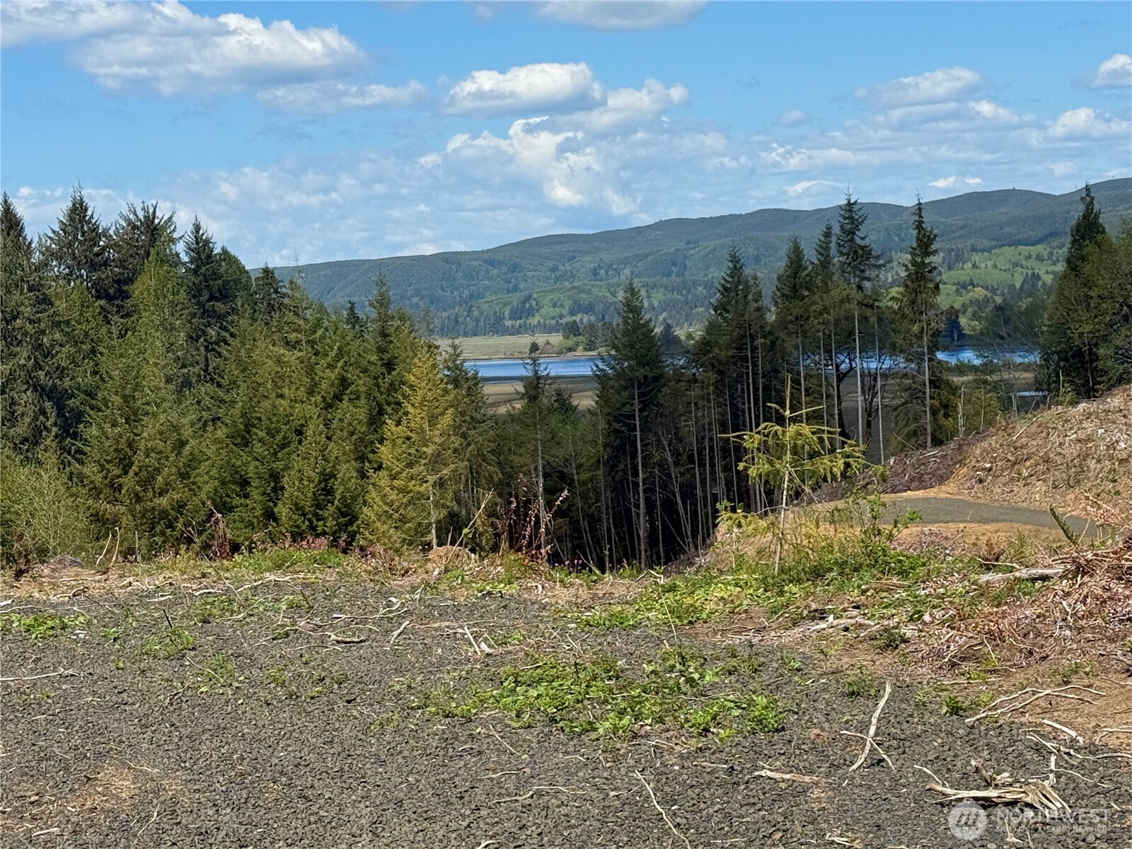 8464 Us Highway 101 Property Photo 6