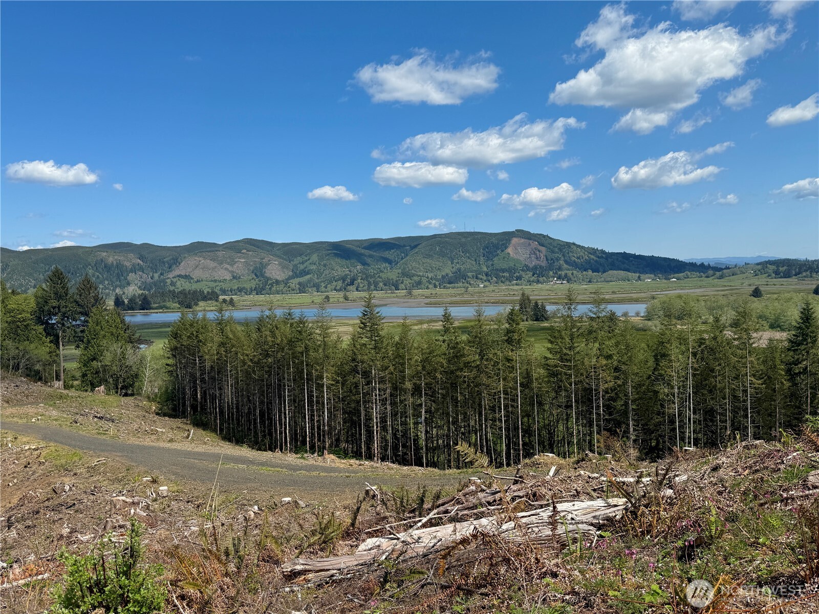8464 Us Highway 101 Property Photo 14