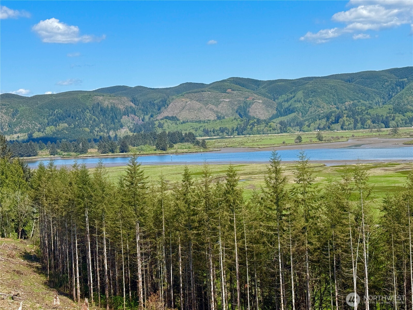 8464 Us Highway 101 Property Photo 18