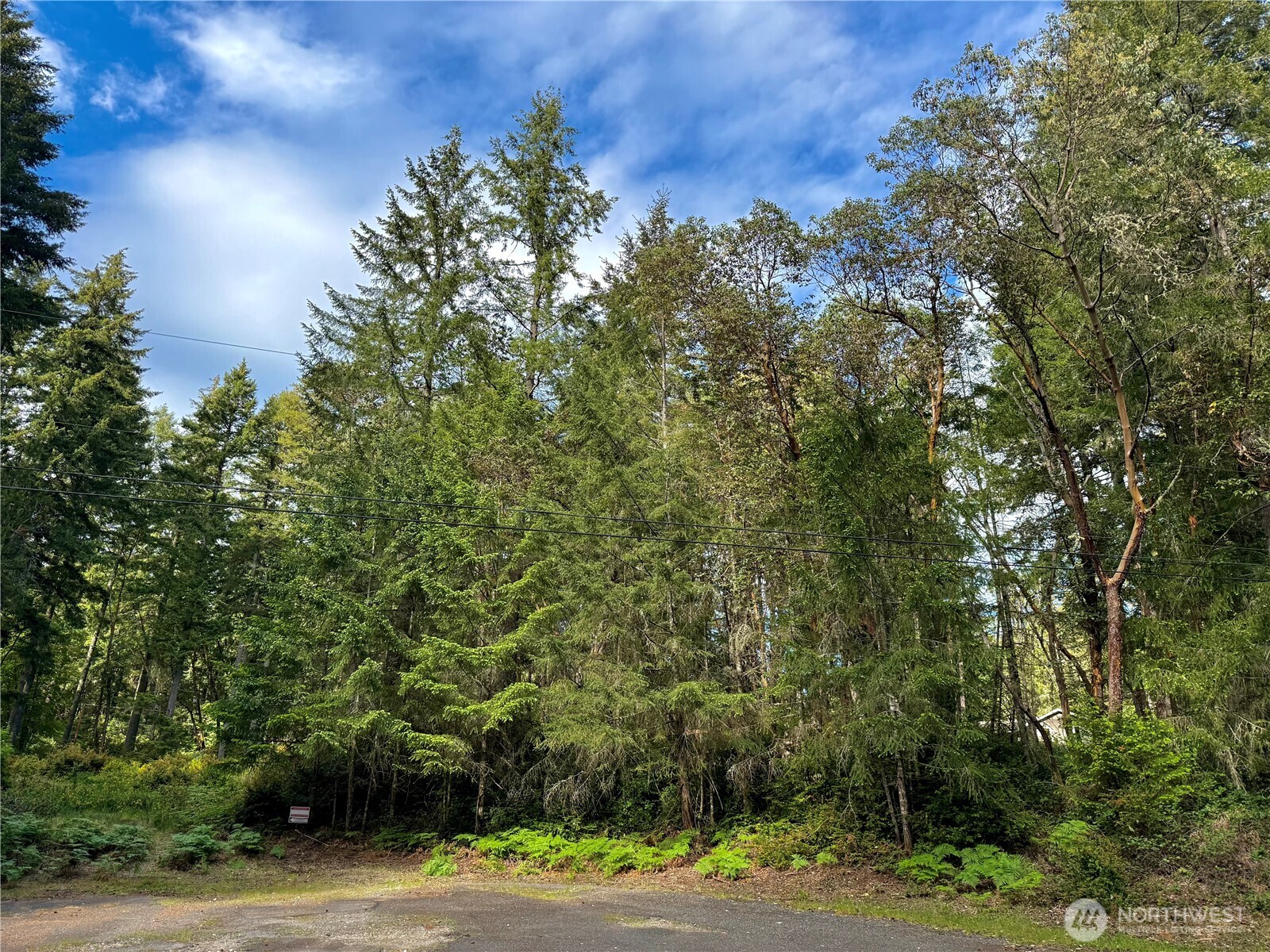 12027 Country Club Drive Property Photo 1