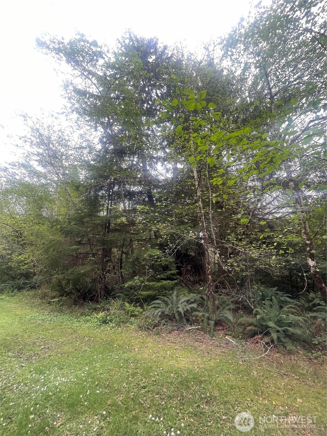 0 Lot 42 Bay Lane Property Photo 1