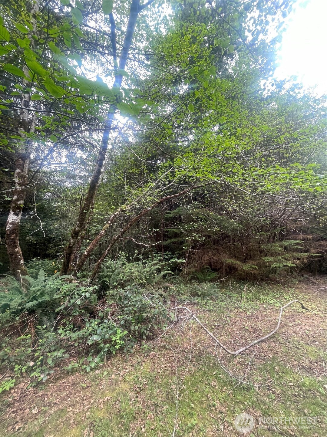 0 Lot 42 Bay Lane Property Photo 2