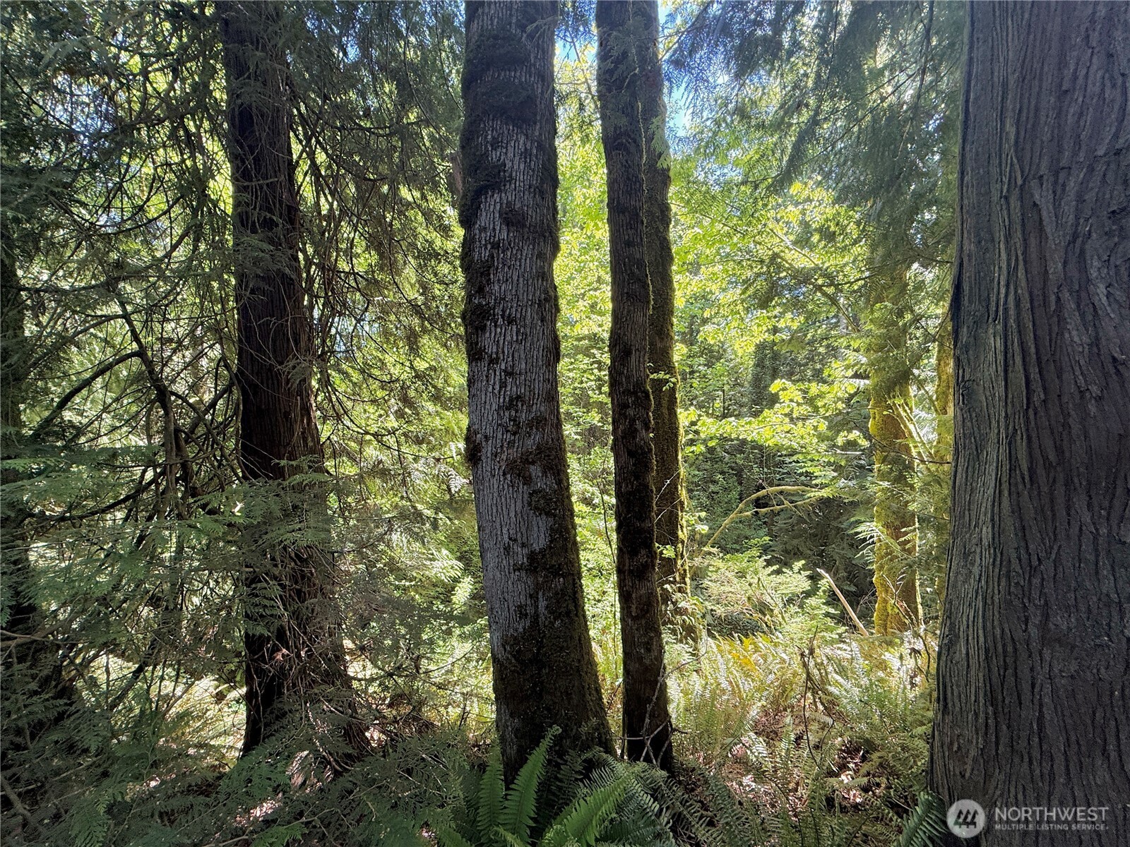1356 Se Carl Pickel Drive Property Photo 8